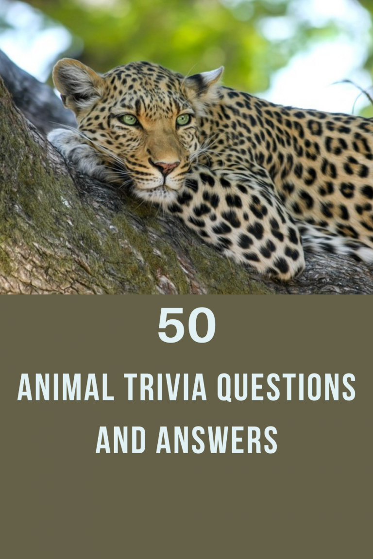 50 Animal Trivia Questions And Answers - Trivia Inc