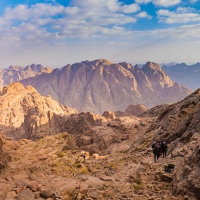 Mt Sinai
