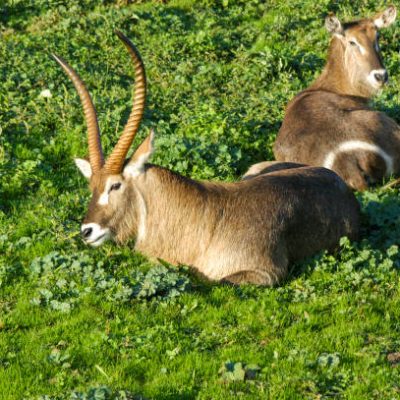 Kobuk Valley National Park