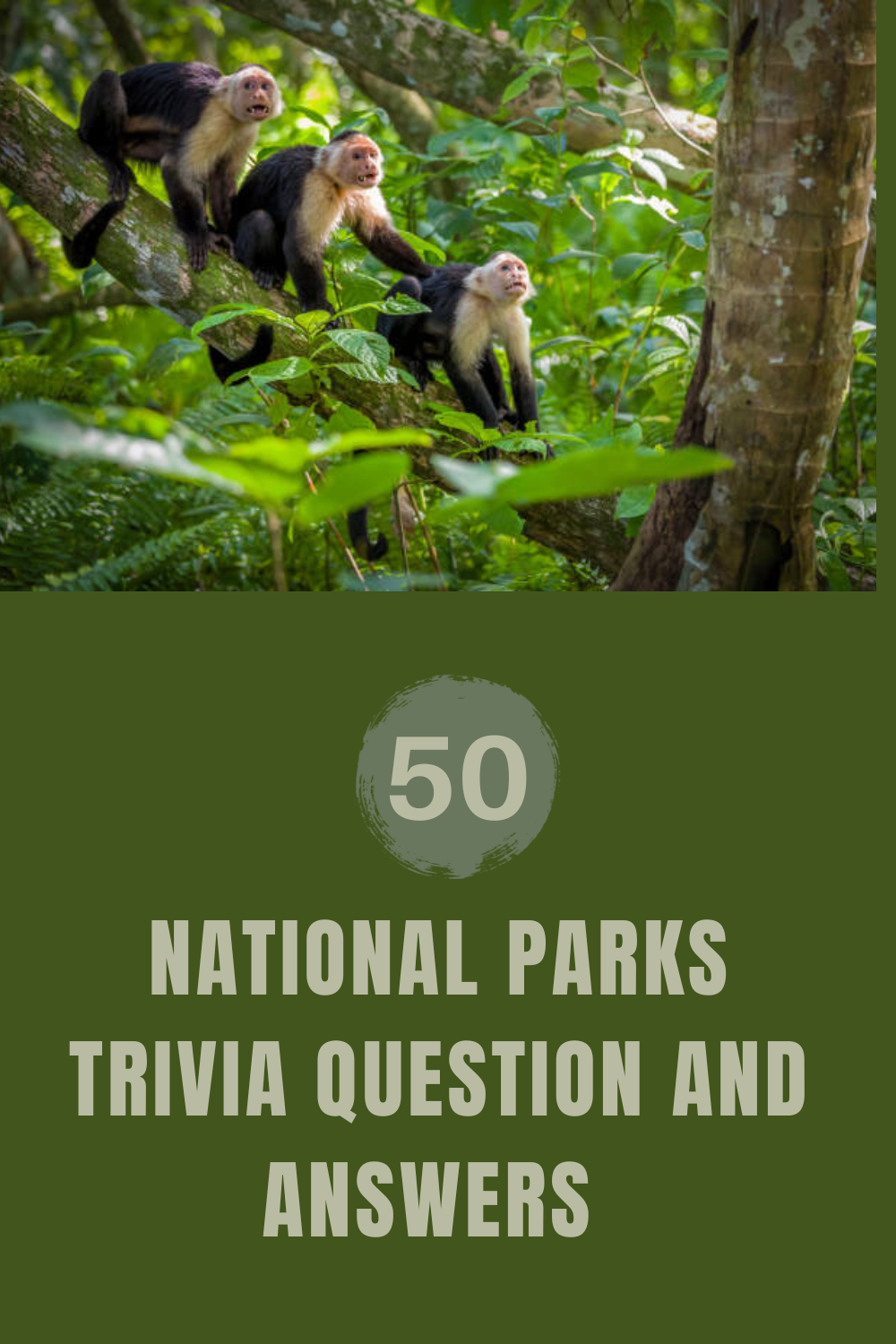 50 National Parks Trivia Question and Answers 