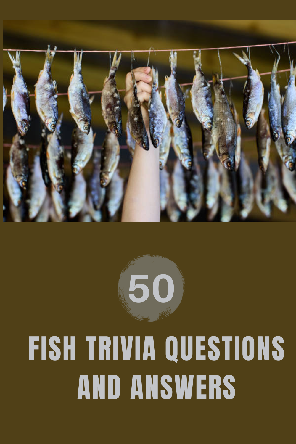 50 Fish Trivia Questions and Answers
